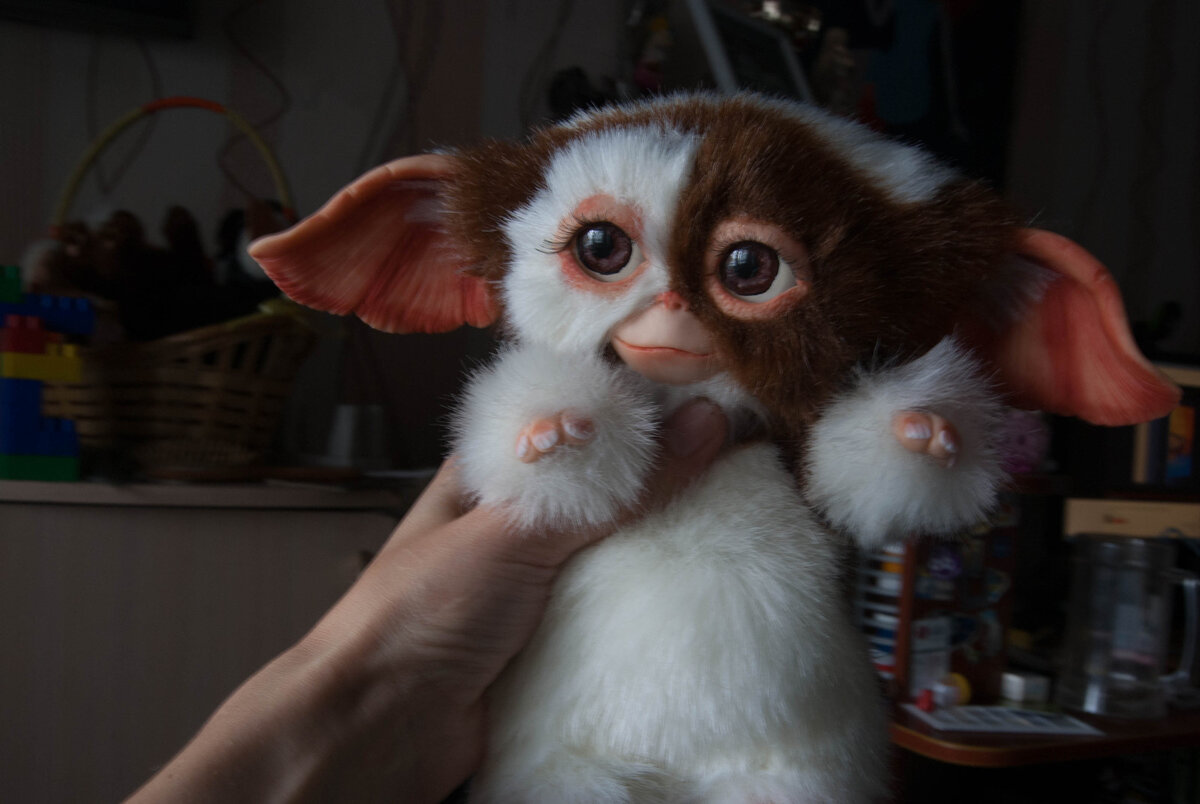 «Гре́млины» (англ. Gremlins) — американский фантастический комедийный фильм ужасов 1984 года, снятый режиссёром Джо Данте по сценарию Криса Коламбуса для студии Warner Bros