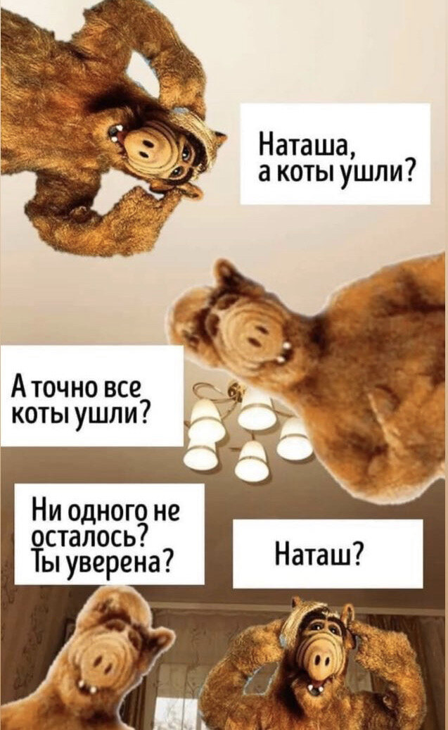 Картинка с котами про наташу