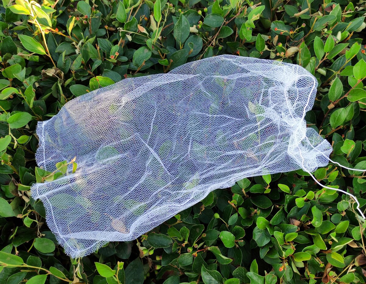 А это мешочек для защиты виноградной грозди от ос. Он защитит Вашу гроздь и от птиц.