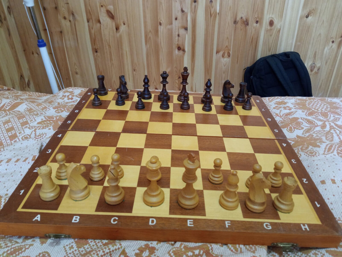 Деревянная доска и шахматы (фото Латыпова Михаила)
