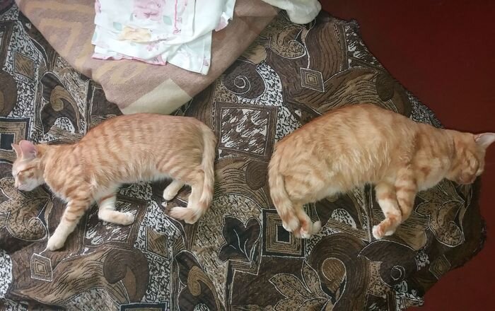 Из личного архива автора канала