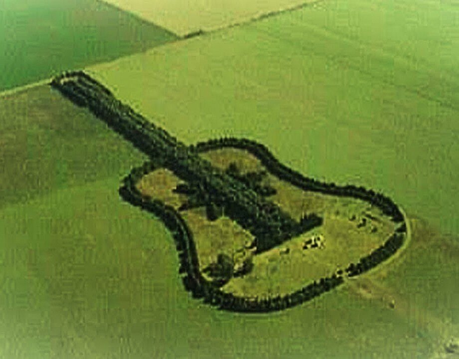 гитарный лес