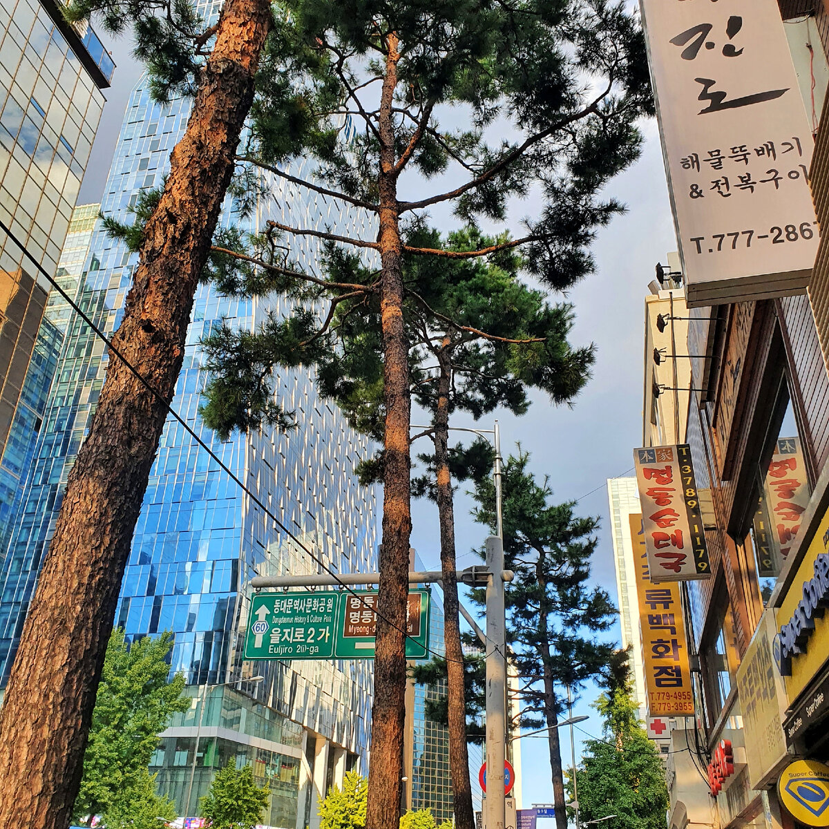 Сеул, район Мёндон