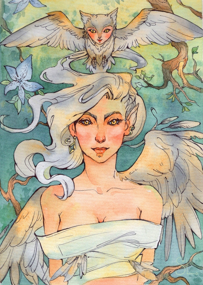 Илл: Наташа Соло