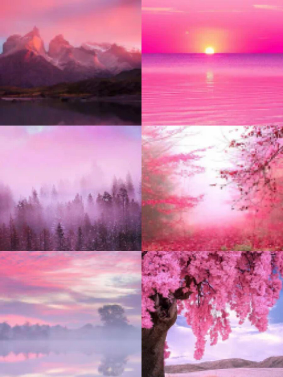 Фотоколлаж автора статьи