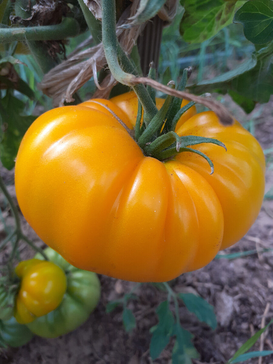 Фото прошлых лет