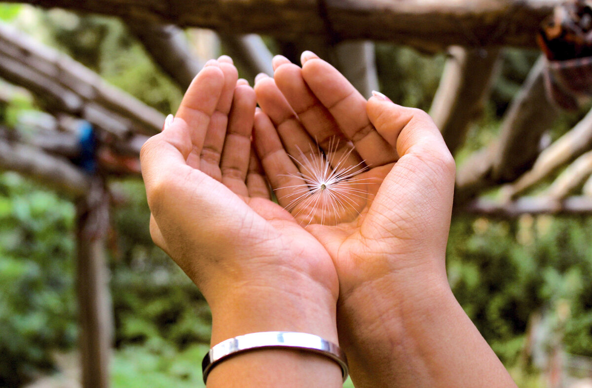 Любовь - это семя. Мало посадить, нужно вырастить