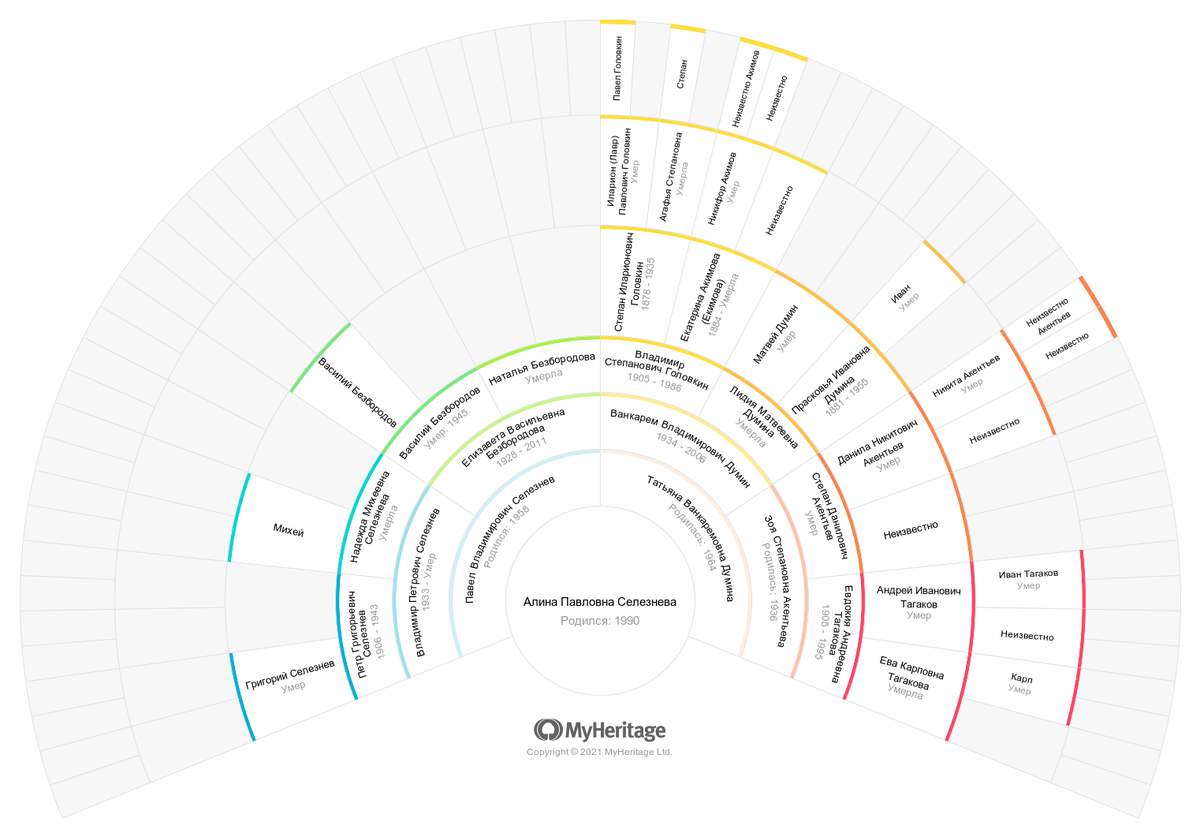 Моё родовое древо, визуализированное с помощью сервиса MyHeritage