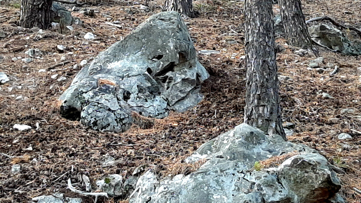 Привидения  тоже есть