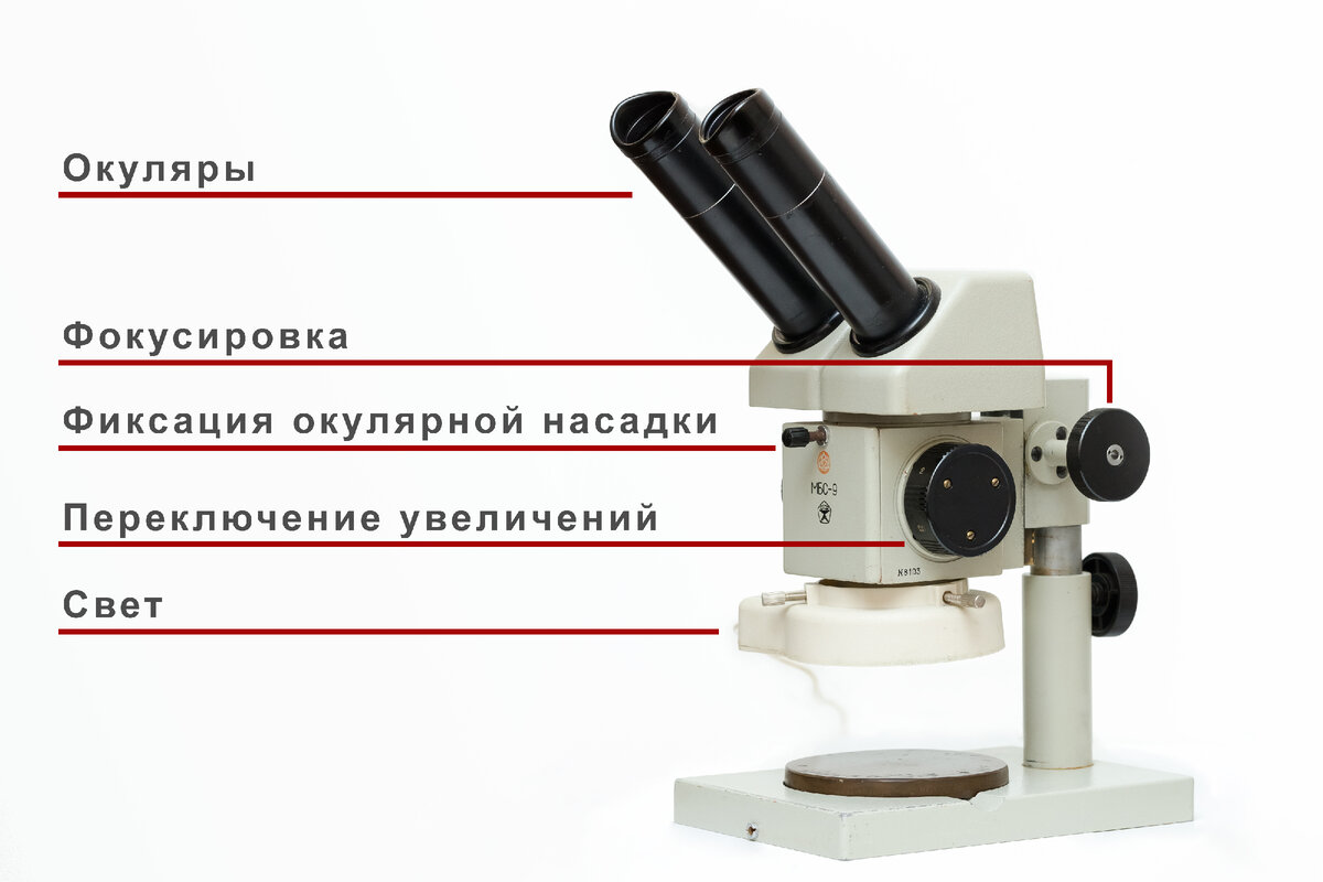 Выбираем микроскоп для механической чистки медных монет Российской Империи  | Механическая чистка монет РИ | Дзен