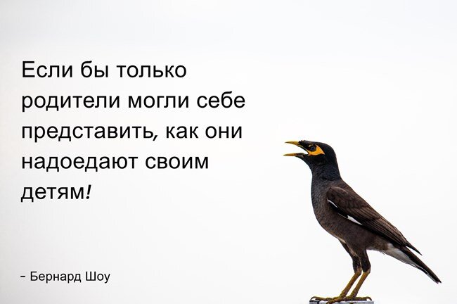 Философские, мудрые, ироничные и веселые цитаты и высказывания о детях | Литрес | Дзен