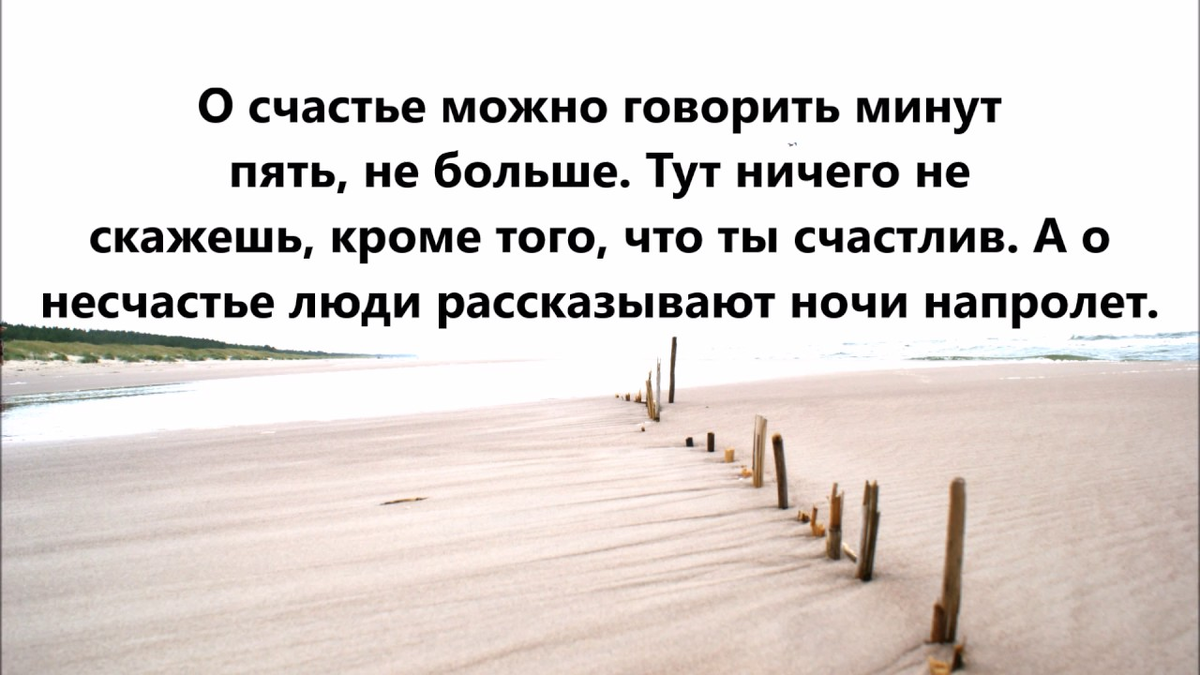 Что такое несчастье и счастья? - Очень просто и наглядно объяснил Александр  Пушкин | Мудрая Тереза | Дзен