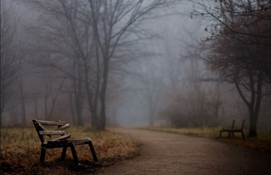 Тематическая картинка из свободных источников 