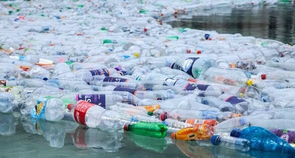 ФОТО: https://voiceofpeopletoday.com/