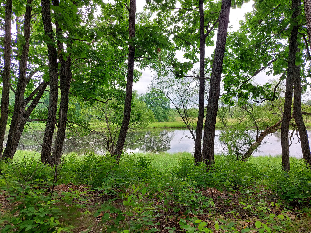 Берег реки Кия.