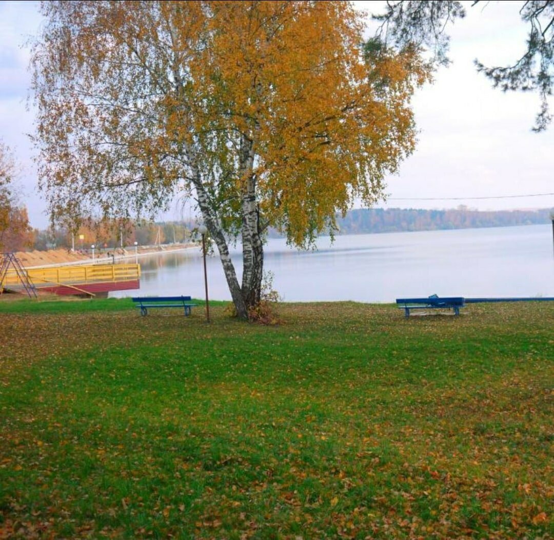 Сенеж солнечногорск. Озеро Сенеж Солнечногорск. Набережная озера Сенеж Солнечногорск. Сенежское озеро Московская область. Парк в Солнечногорске на озере Сенеж.