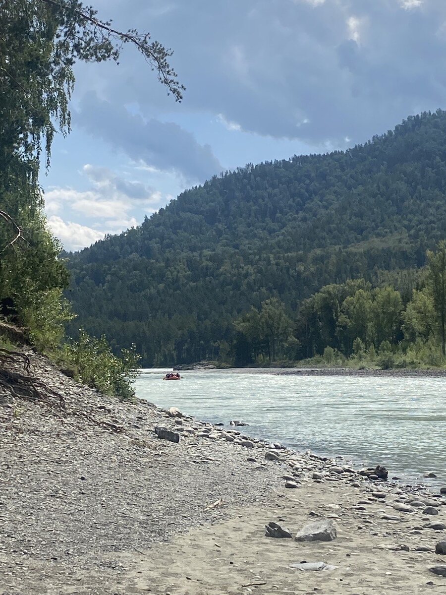 Катунь Царица