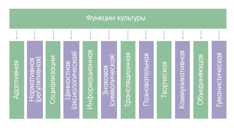 Варианты егэ обществознание sociofamily