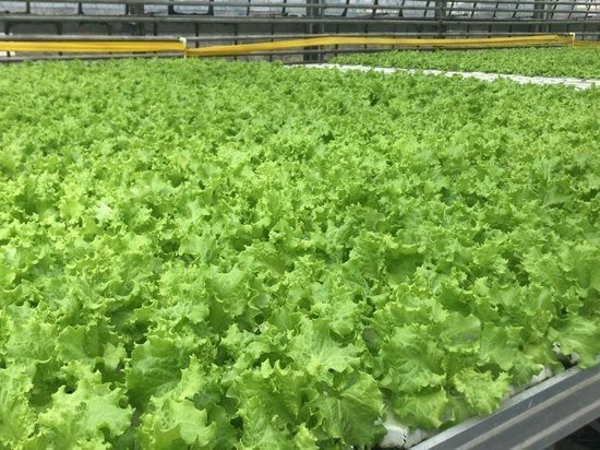     Фото: администрация Правительства Кузбасса