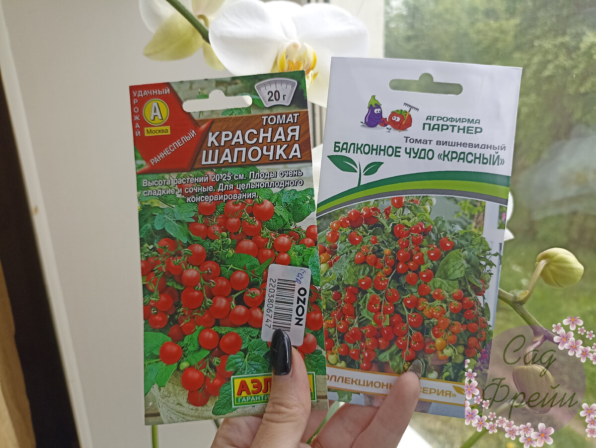 Идея вырастить Помидоры 🍅 на окне осенью/зимой под лампой была  самонадеянной и не совсем хорошей | Сад Фрейи | Дзен