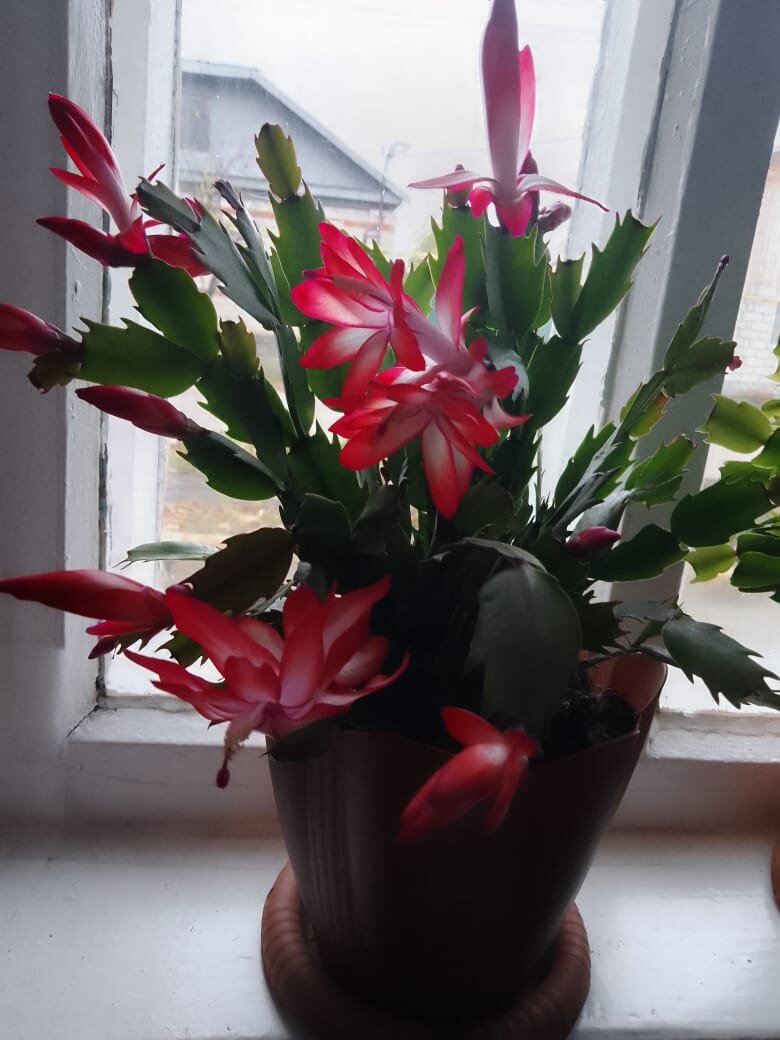 Фото из личного архива