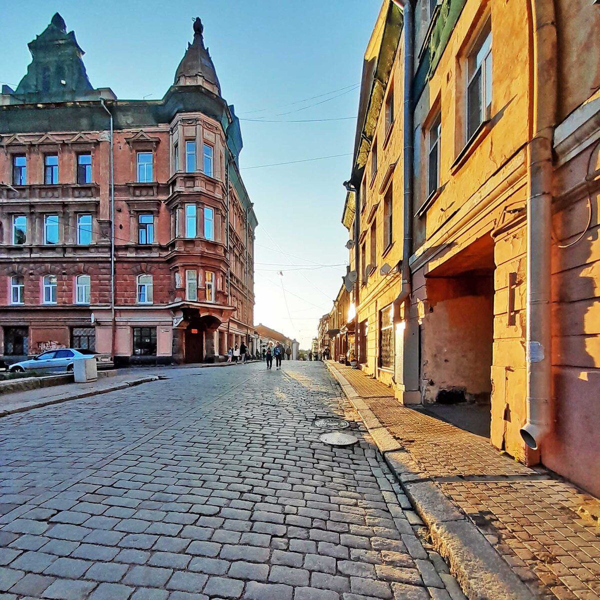 Медведь крепостная ул 6 выборг фото