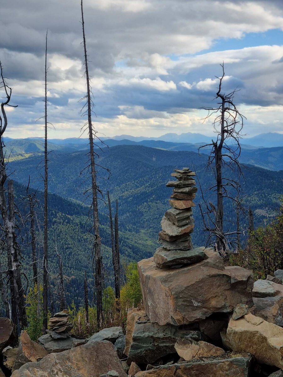 Вид на море тайги с гору Кукуя, Иогач