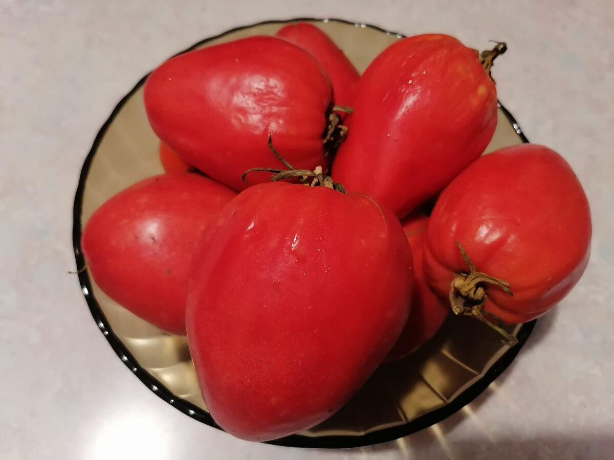 Свои помидоры уже едим