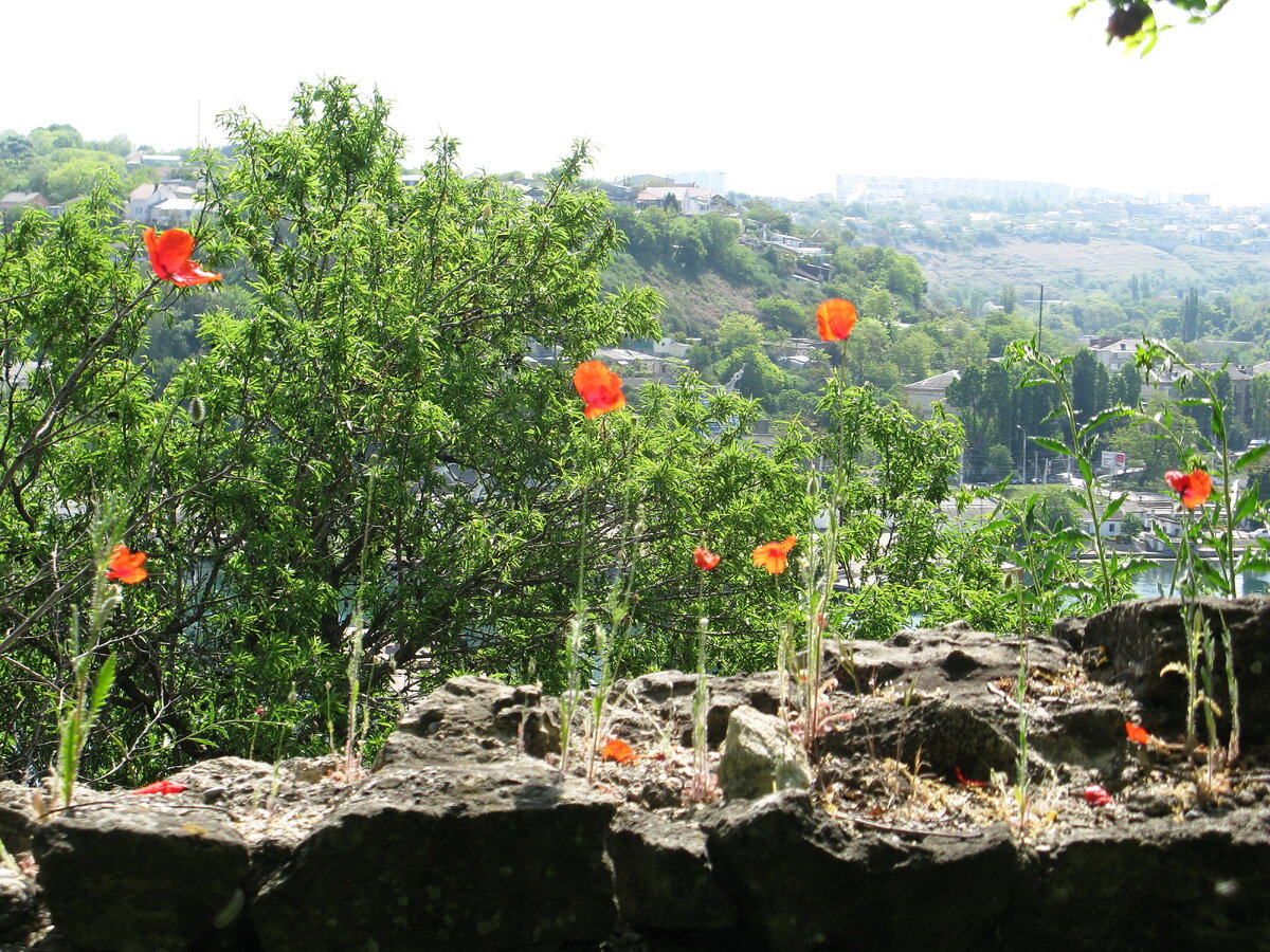 Вид с современного Исторического бульвара. 2019