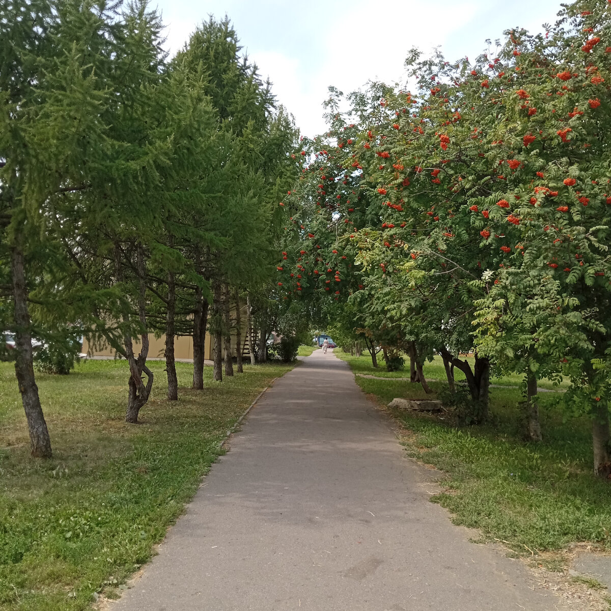 Аллея в нашем городе