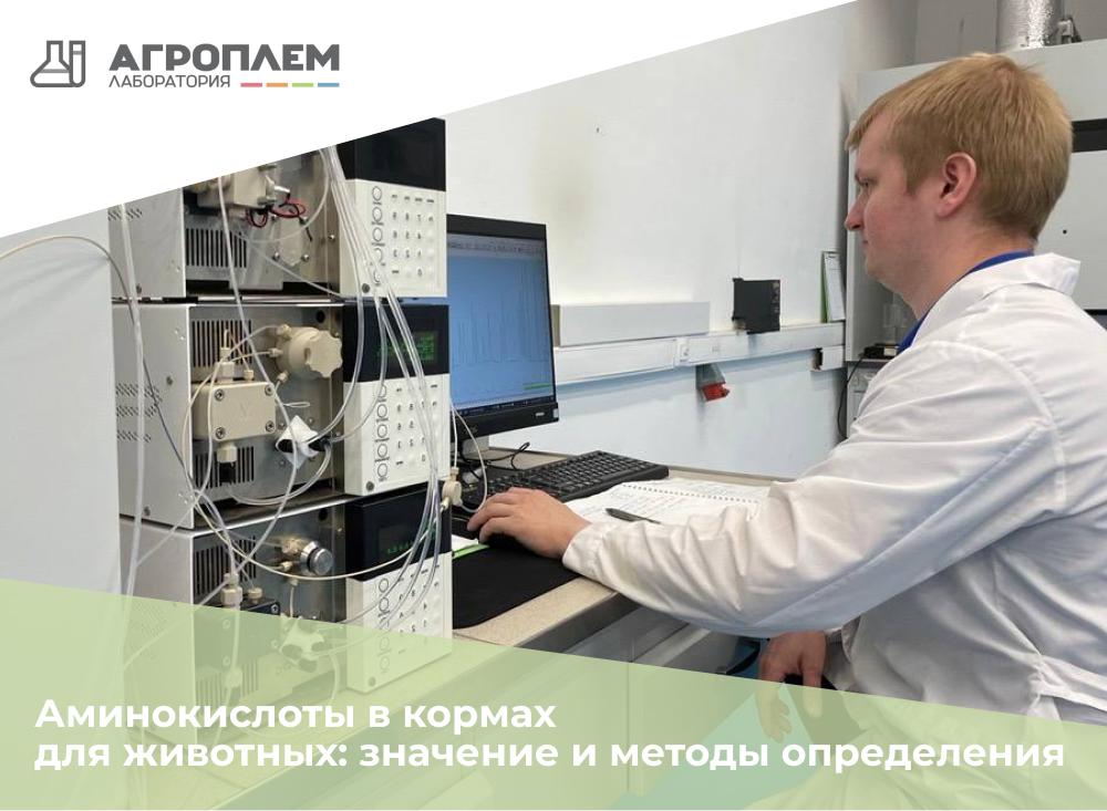 Аминокислоты в кормах для животных: значение и методы определения ...