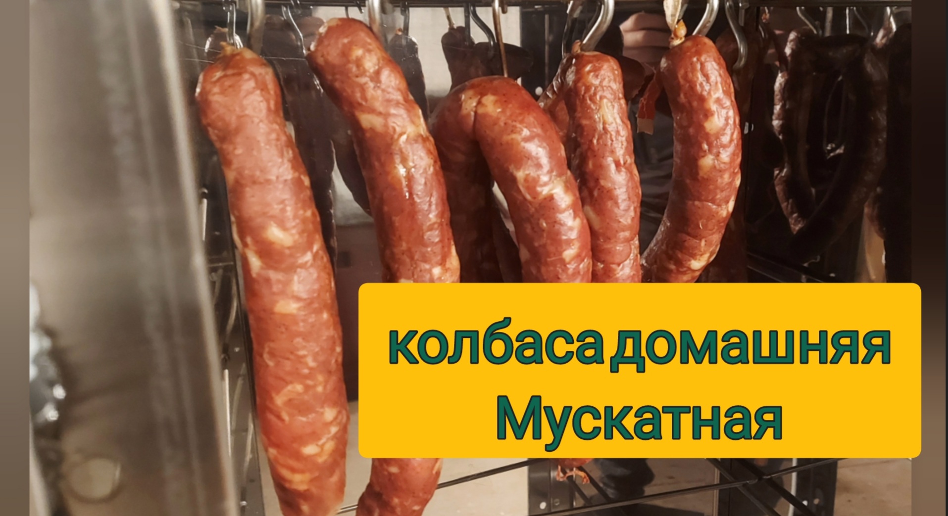 Мускатная - домашняя колбаса. Рецепт варено-копченой колбасы на домашней  кухни.