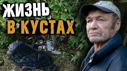 СПИТ ПОД ДОЖДЁМ 😱 // СОБАКИ ВОРУЮТ ЕДУ