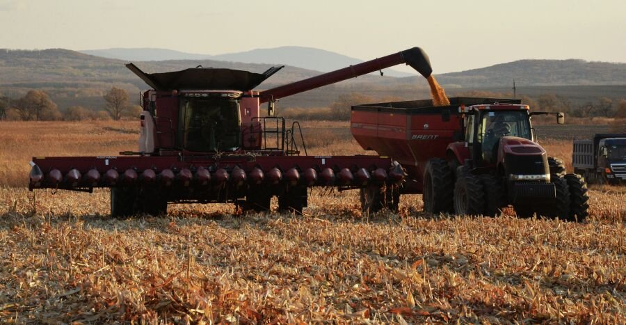    © Виталий Аньков/РИА Новости