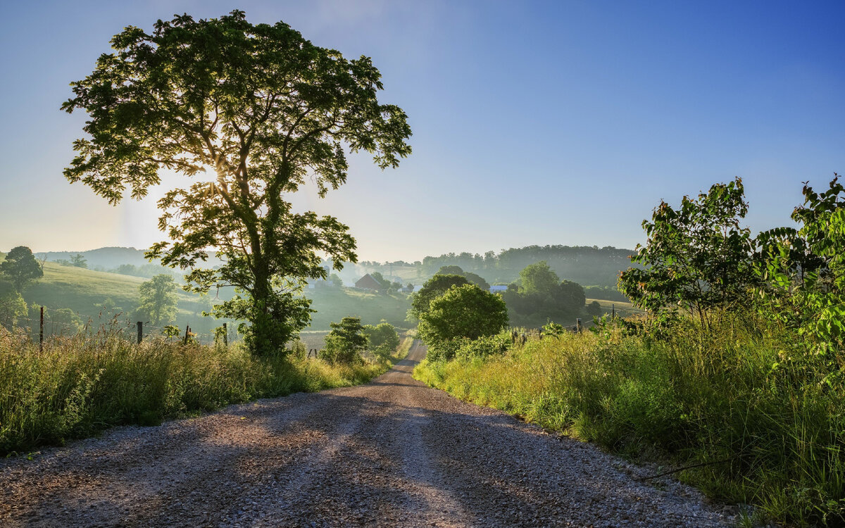 Фото из интернета