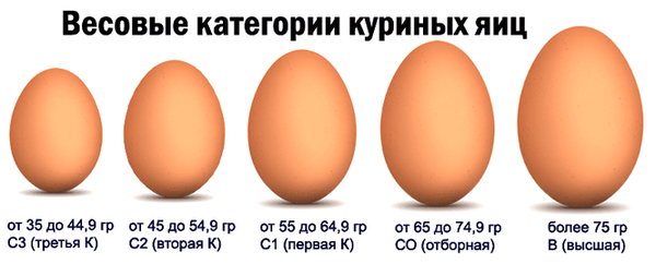 Наша стандартная маркировка яиц