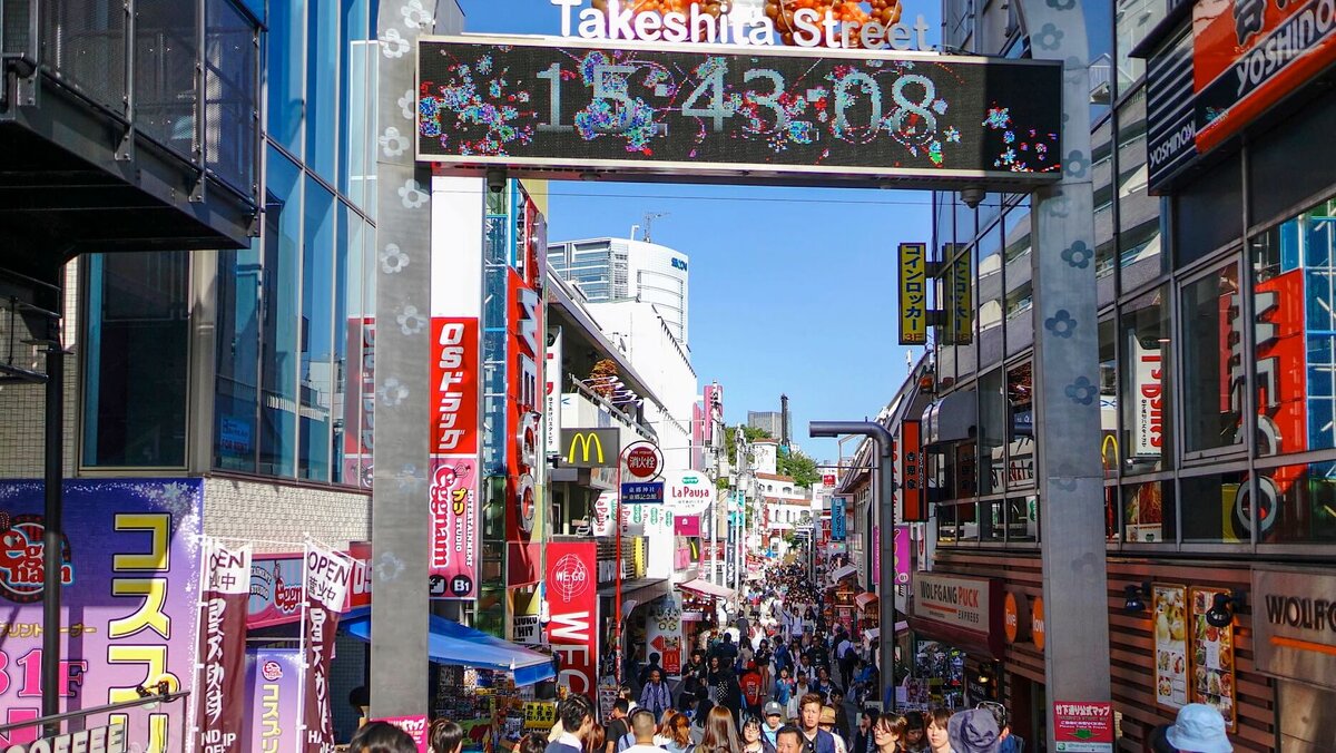 bolshieprogulki-jp.ru