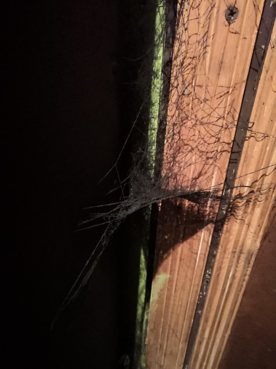 Паутина наших жизней