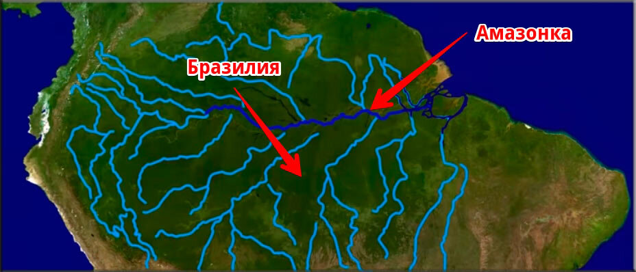 По какой территории протекает амазонка