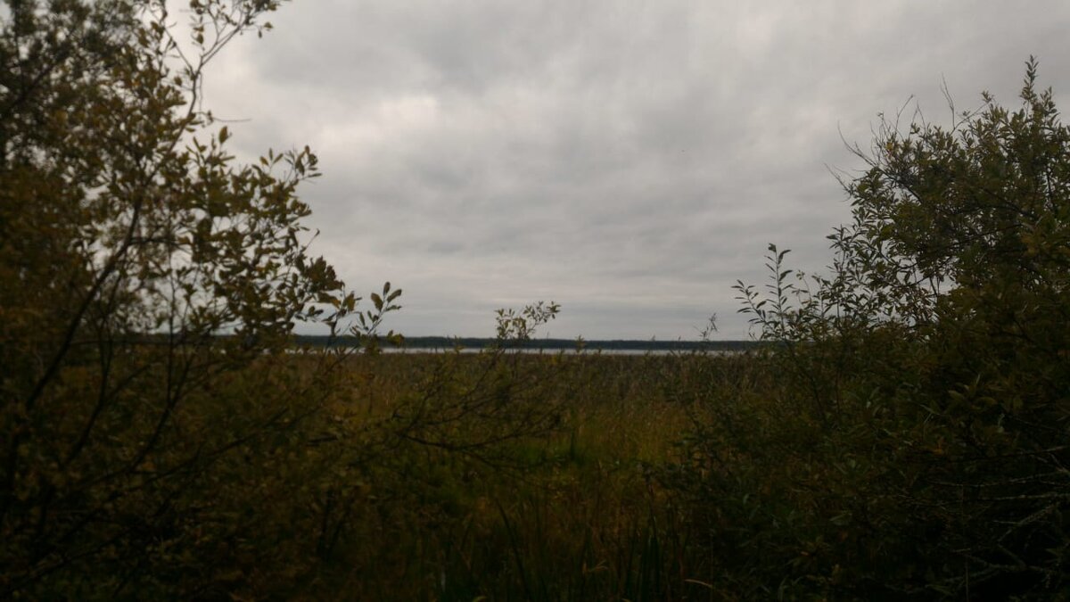 Примерно здесь, но на высоком берегу перевернулся мотоцикл.