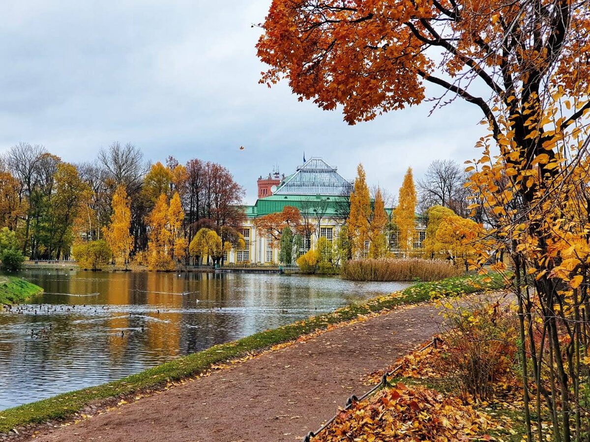 Осень Питер Таврический парк