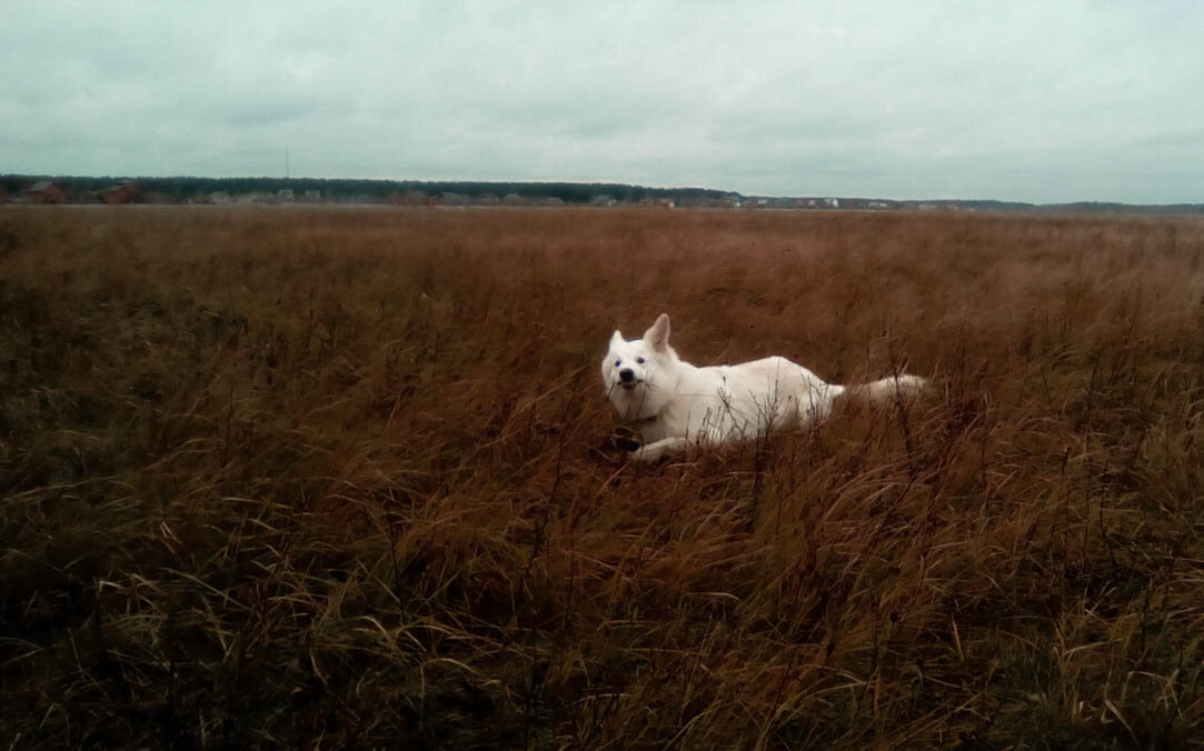Линда как бы говорит: "Пивет!"