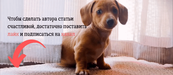 А какой выбор сделали вы? Делитесь в комментариях.