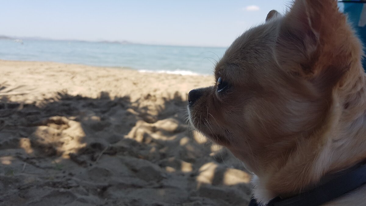 Фото автора.