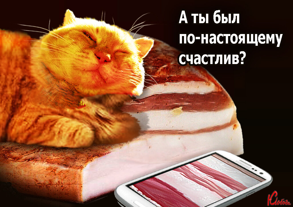 Счастья много не бывает