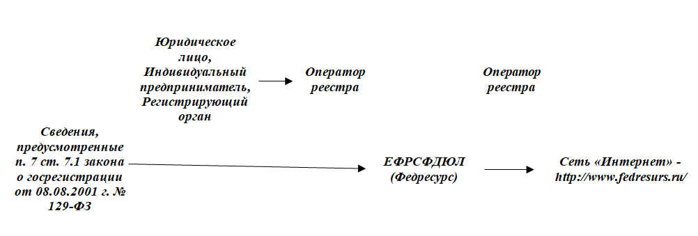 опубликование информации в едином федеральном реестре сведений.