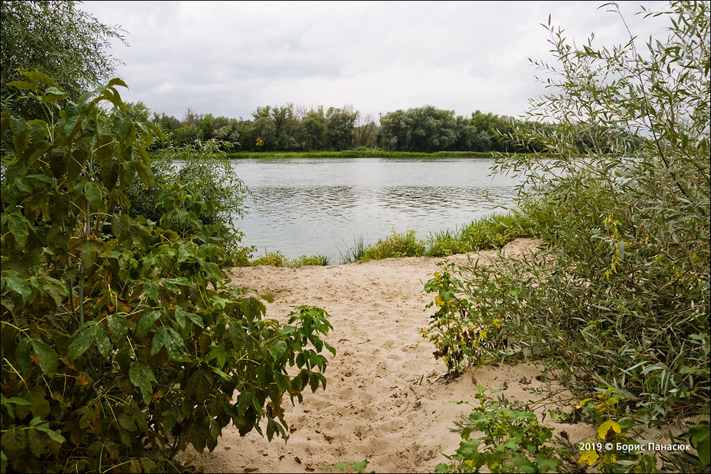 , воронежская область, бобровский район, село коршево, подлесная улица. коршево бобровский район битюг. песковатка река волгоградская область. песковатка воронежская область. песковатка воронежская область.