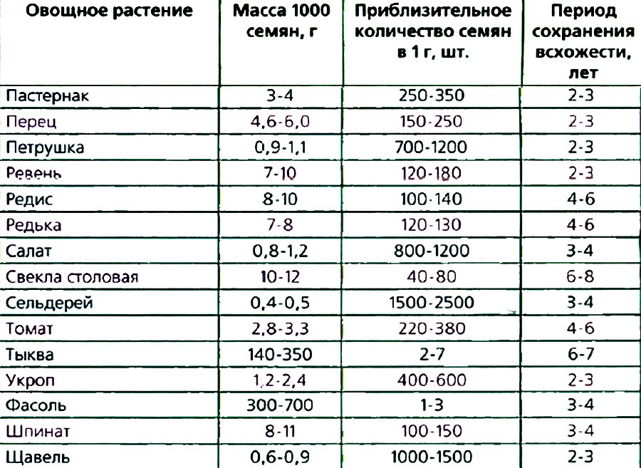 Семена каких растений сохраняют жизнеспособность меньше всего. Сроки всхожести семян таблица. Срок годности семян овощей таблица. Сроки годности овощных семян. Срок хранения семян овощей таблица.
