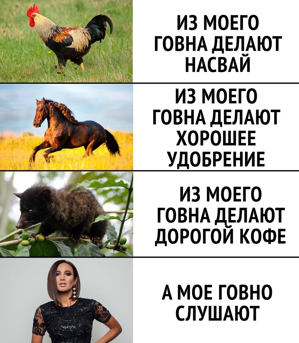 Даже сама Бузова признает свое творчество 💩