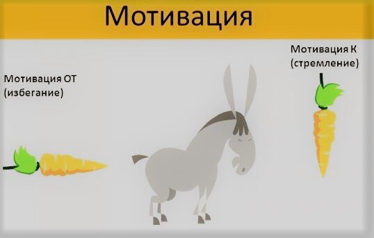 Морковка спереди и морковка сзади